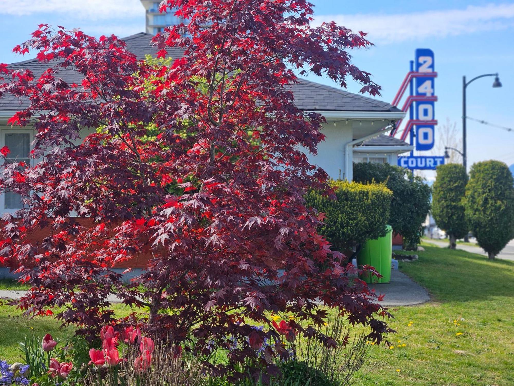 2400 Motel Vancouver Exterior photo